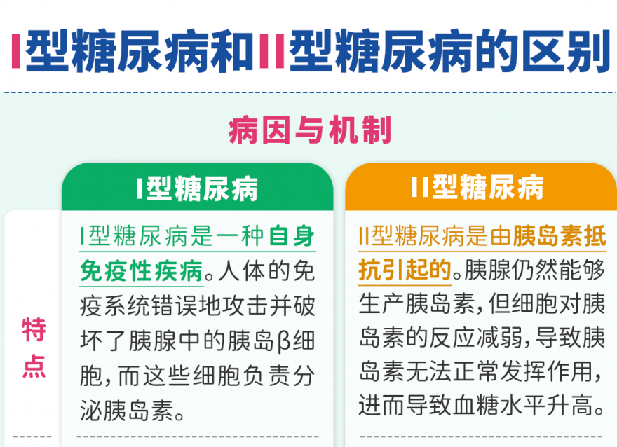 Ⅰ型糖尿病和Ⅱ型糖尿病的区别
